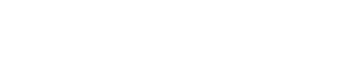 De AI Academy
